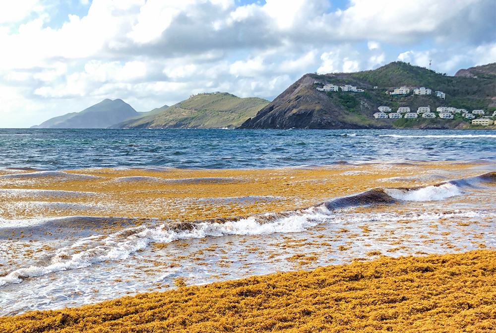 St Kitts