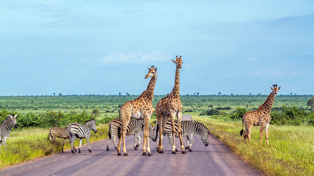 Sud Africa